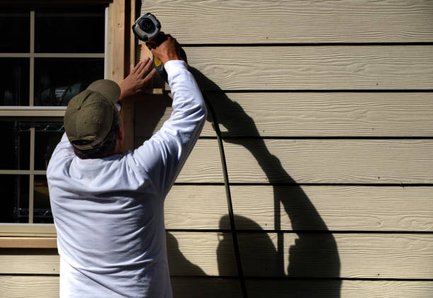 Best Vinyl Siding Installation  in Chrisman, IL